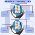 Zdjęcie produktu Przełącznik monostabilny wandaloodporny 16mm niebieski LED 12V-24V 5 pin (5)